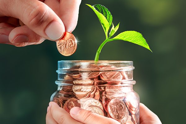 Energy-Saver dla firm